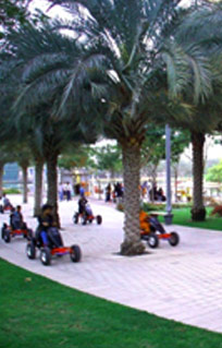 After The Afternoon Picnic – More Fun in Zabeel Park, Dubai, UAE.