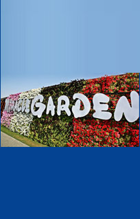 At the Miracle Garden, Dubai, UAE on 15th February 2014.