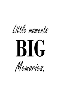 Little Moments Big Memories