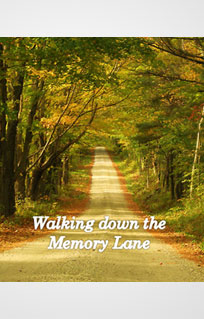 Walking Down the Memory Lane